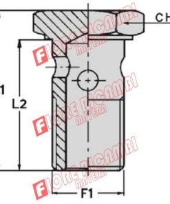 EFNTV1615 - VITE FORATA 16X1,5 (L2=30 MM)